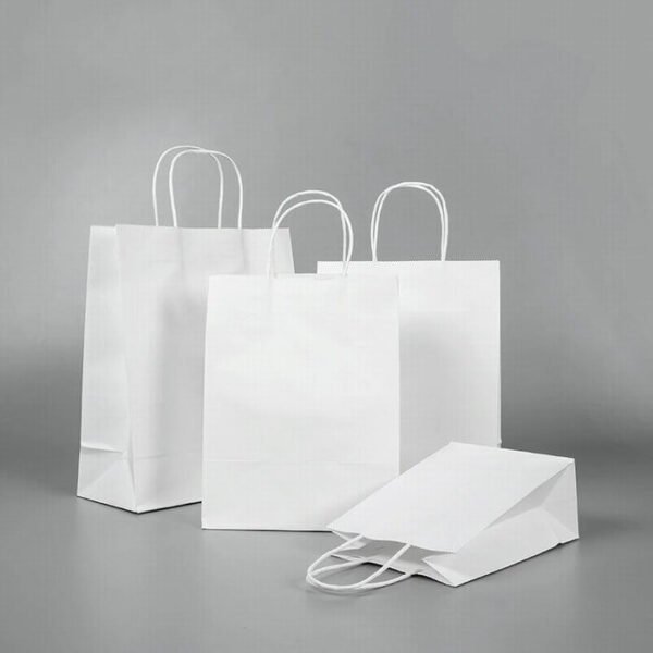 white paper carry bag