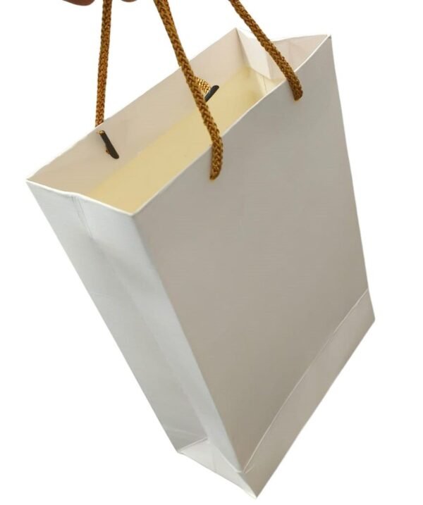 Textured Paper Carry Bags